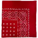 Hanky Paisley (2).webp