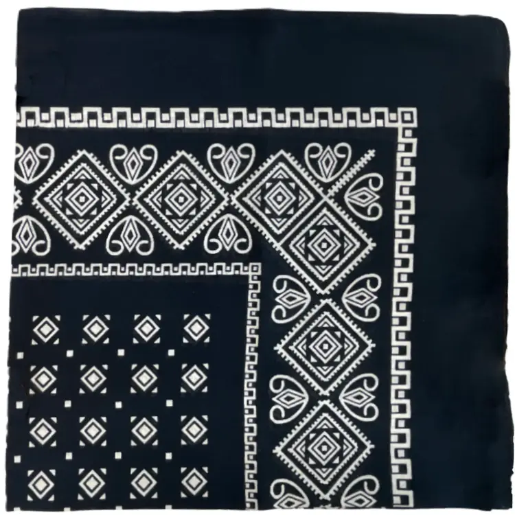 Hanky Paisley (3).webp