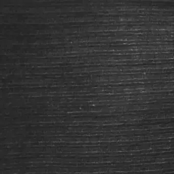 Levi Miller 2590 BLACK.webp